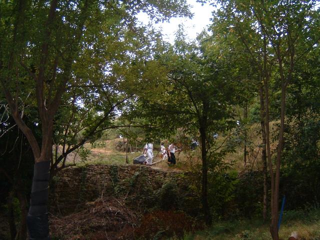DSCF0001.jpg