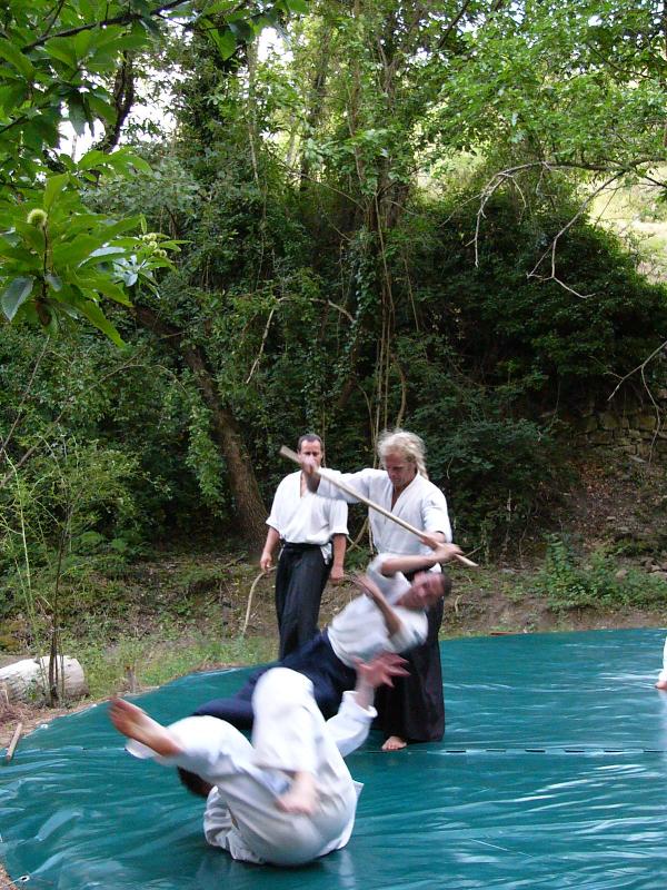 Aikido Mas Bedejus_04_147.JPG