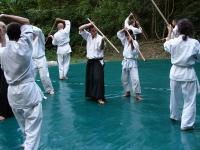 Aikido Mas Bedejus_04_100.JPG