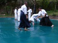 Aikido Mas Bedejus_04_110.JPG