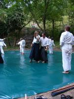 Aikido Mas Bedejus_04_116.JPG
