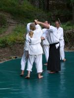 Aikido Mas Bedejus_04_133.JPG