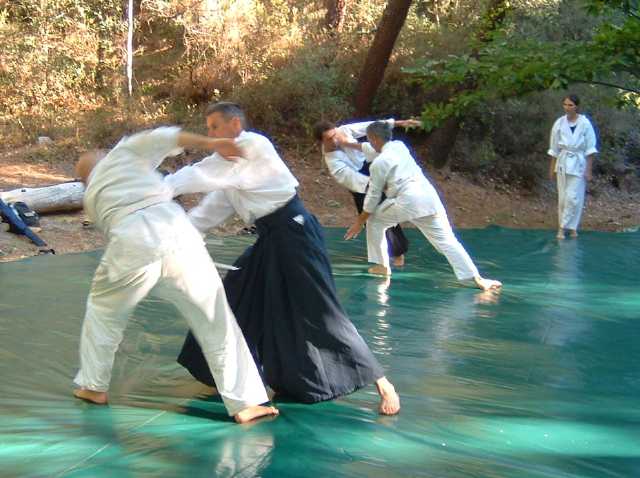 aiki30.jpg